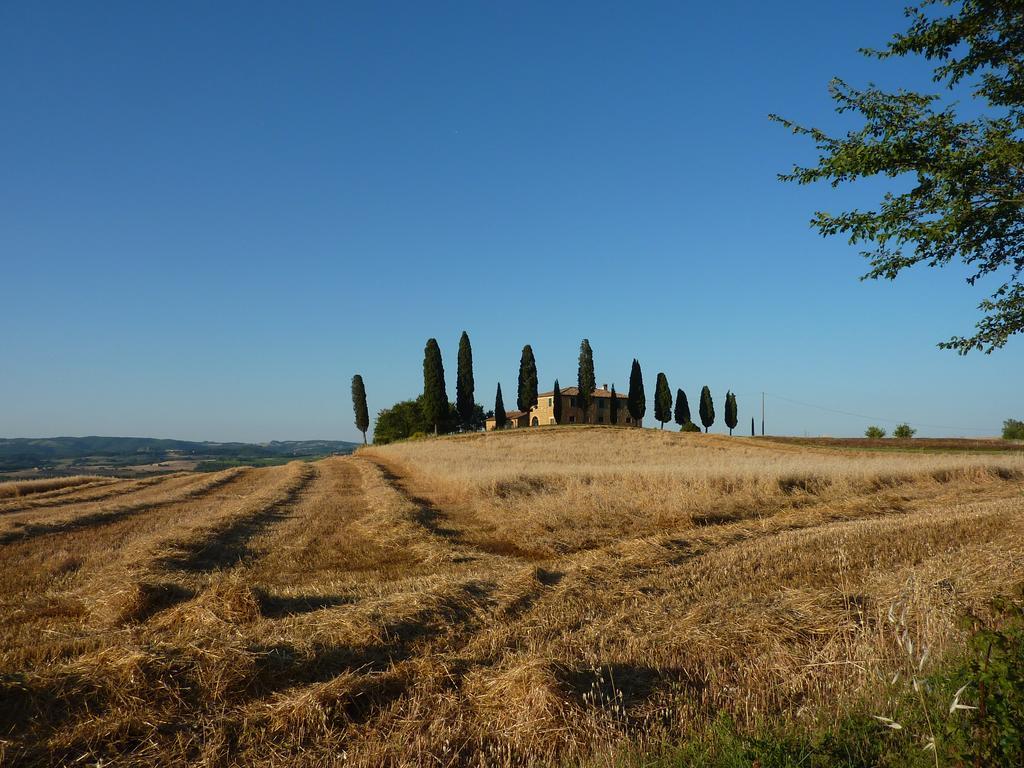 Camere Andrei Pienza Extérieur photo