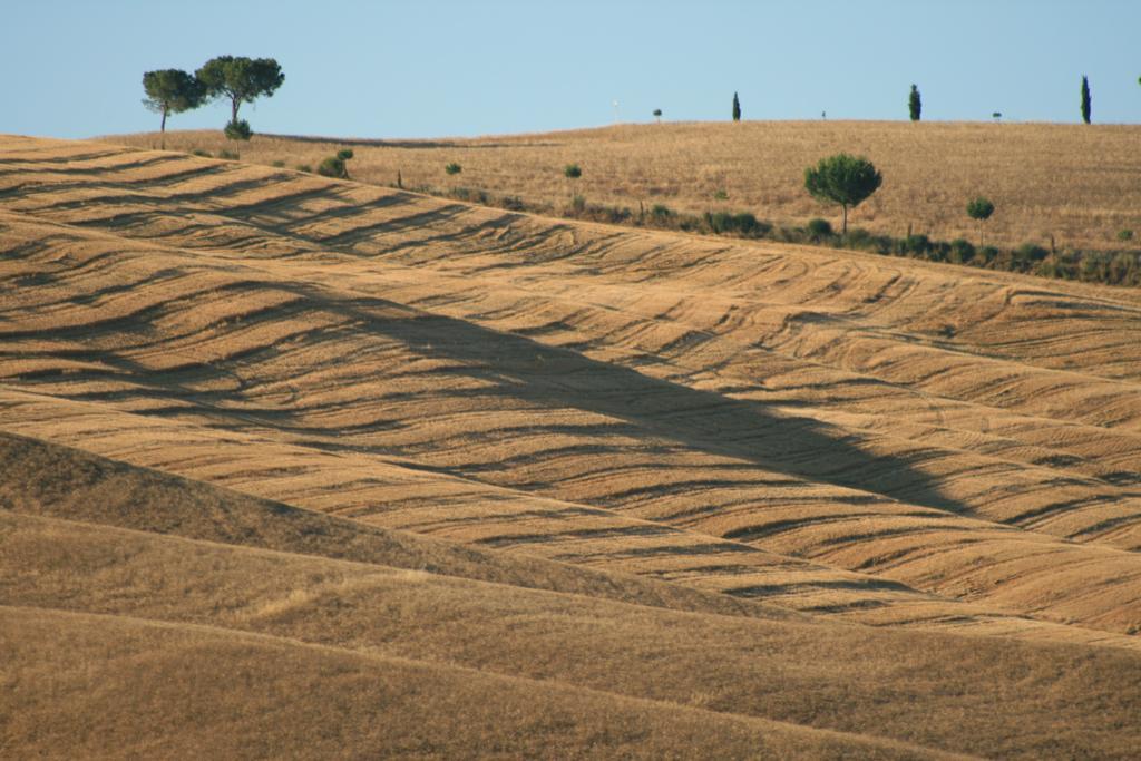 Camere Andrei Pienza Extérieur photo